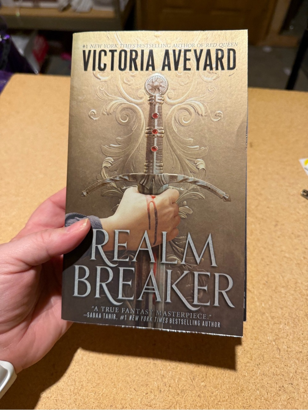 Realm Breaker Paperback Book - Gold Cover